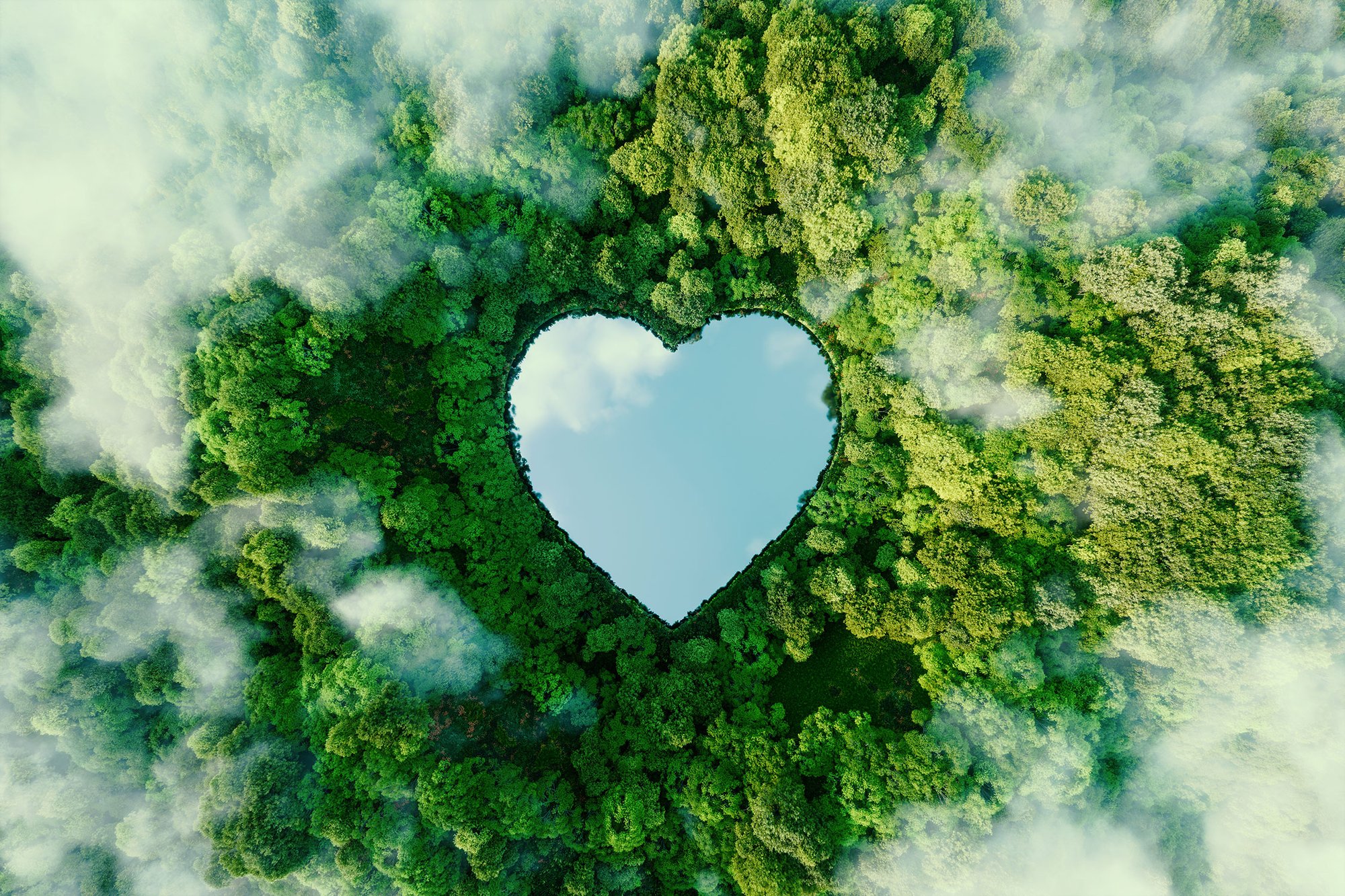 concept-illustrating-issues-nature-conservation-bioproducts-protection-forests concept-illustrating-issues-nature-conservation-bioproducts-protection-forests