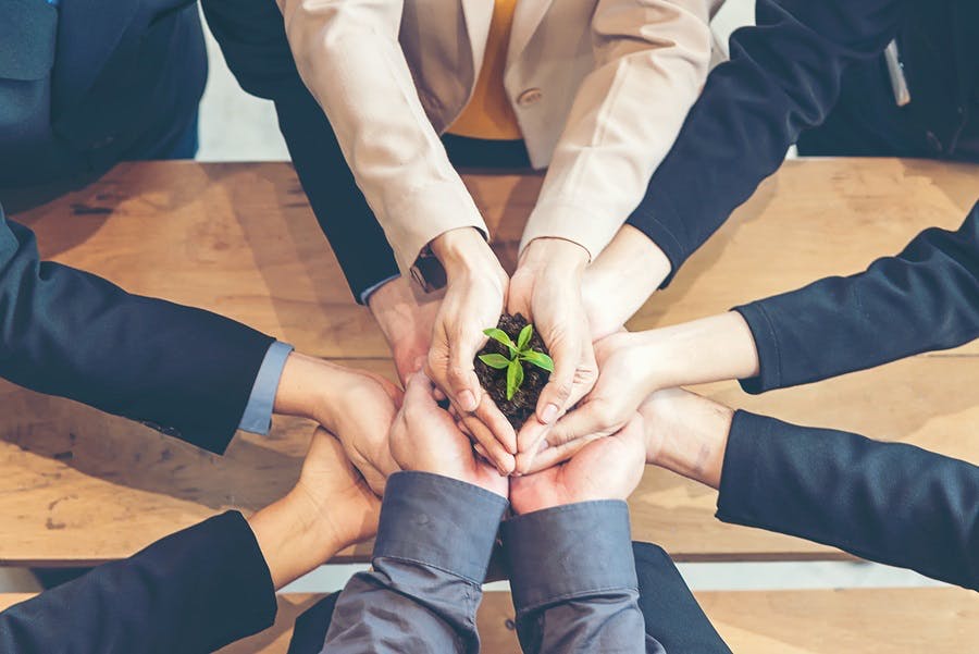 teamwork_core_values_tree teamwork_core_values_tree